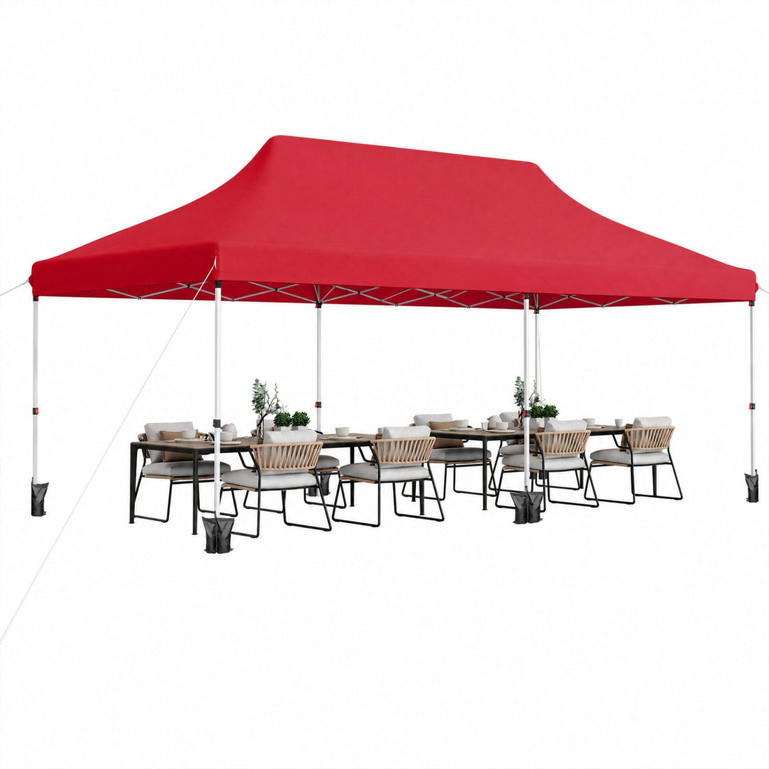 Pop Up Canopy Tent 10x20 FT with Carry Bag
