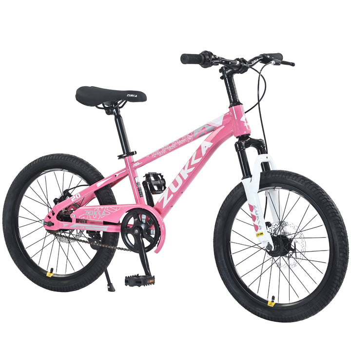 ZUKKA 20 Inch Mountain Bike for Boys and Girls