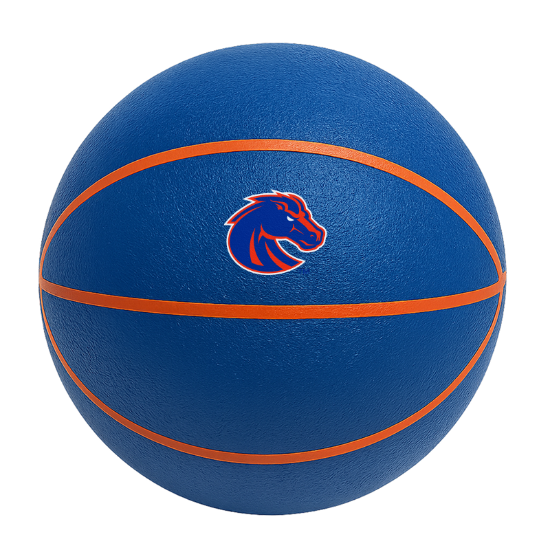 Color Splash QT BNZ Basketball