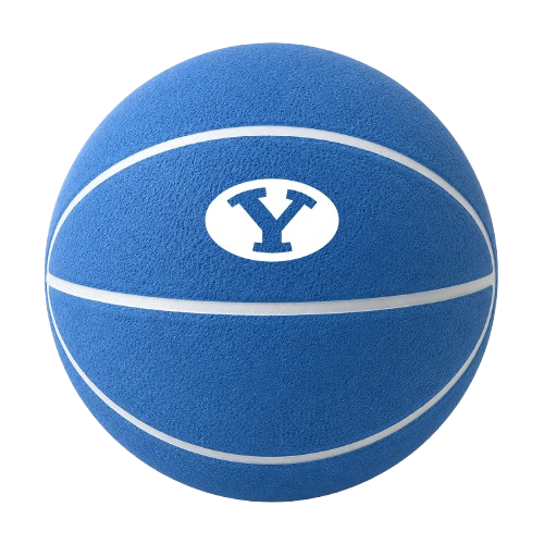 Color Splash QT BNZ Basketball
