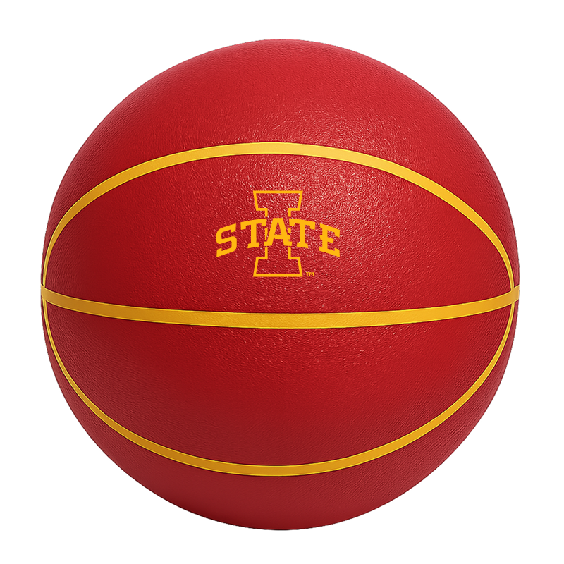 Color Splash QT BNZ Basketball