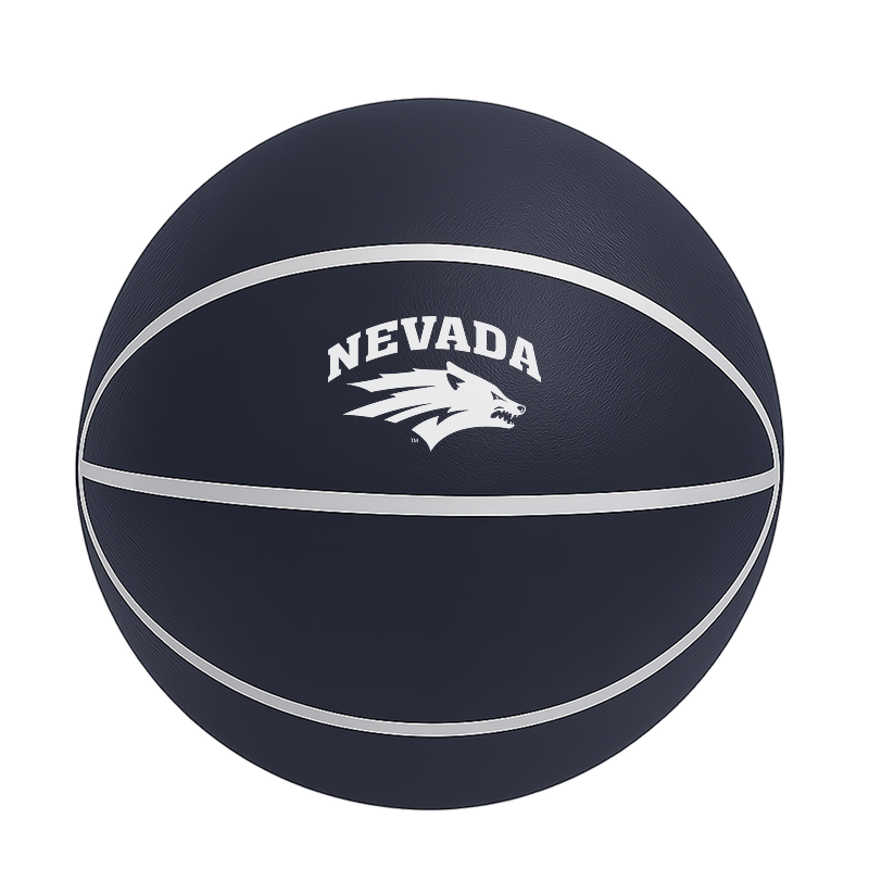Color Splash QT BNZ Basketball