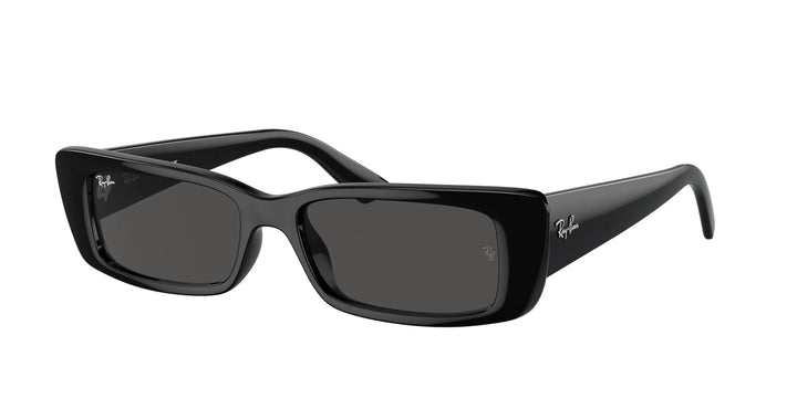 RAY-BAN Classic Round Frame Sunglasses for Men