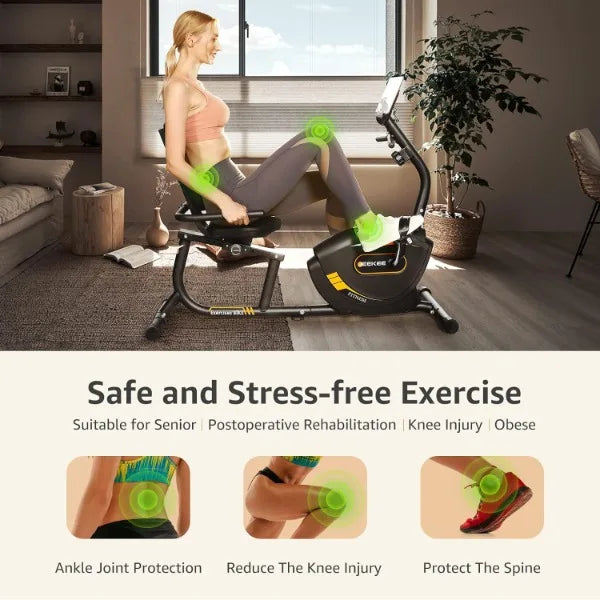 Recumbent Exercise Bike for Seniors Indoor Home Workouts