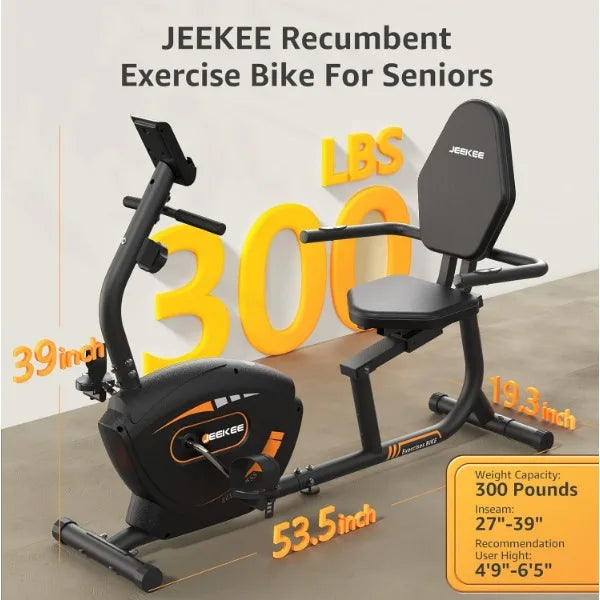 Recumbent Exercise Bike for Seniors Indoor Home Workouts