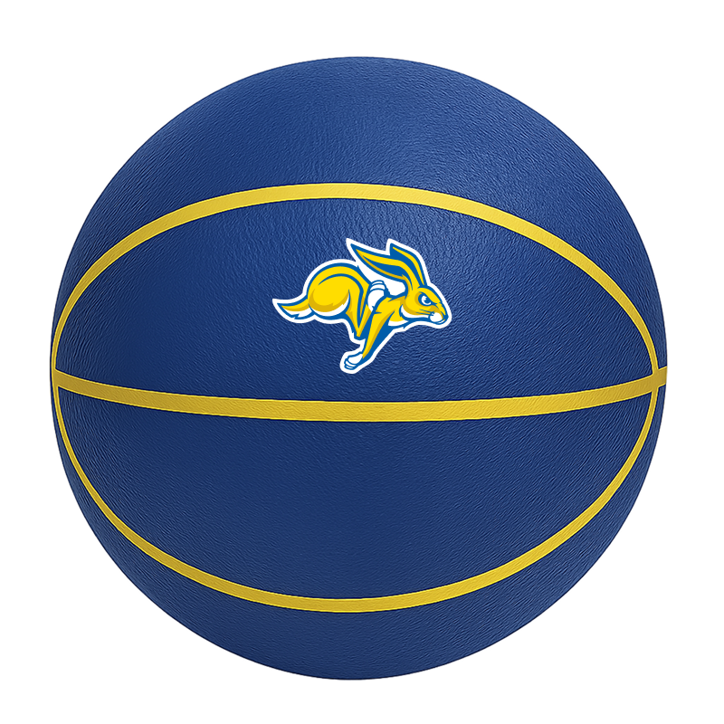 Color Splash QT BNZ Basketball
