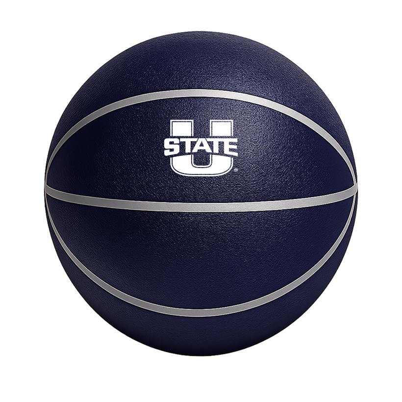 Color Splash QT BNZ Basketball