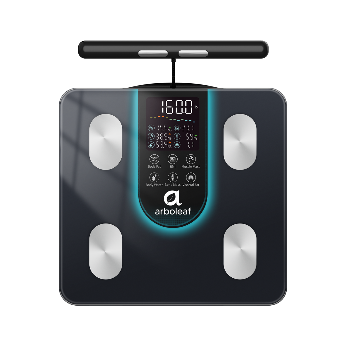 Segmental Smart Scale CS10K