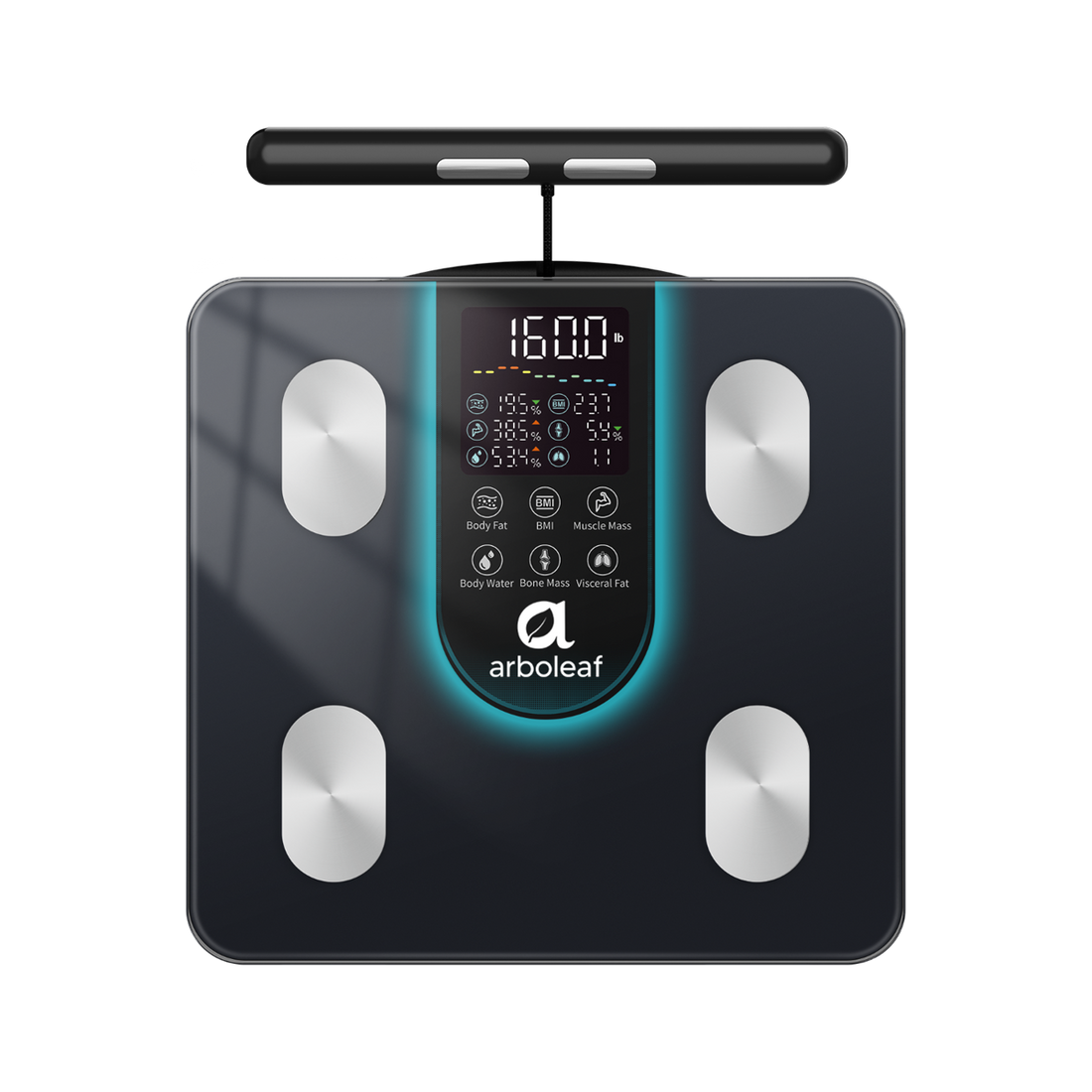 Segmental Smart Scale CS10K